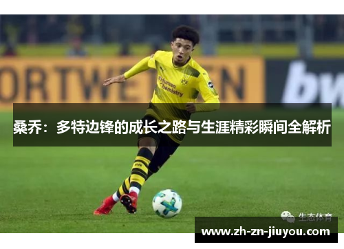 桑乔：多特边锋的成长之路与生涯精彩瞬间全解析