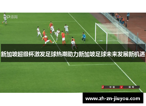 新加坡超级杯激发足球热潮助力新加坡足球未来发展新机遇